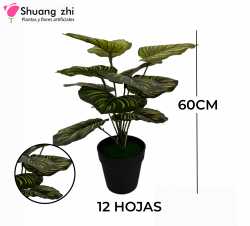 PLANTA 15 HOJAS CON MACETA