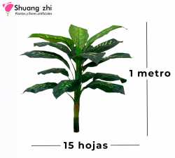 PLANTA  1M 15 HOJAS SIN MACETA