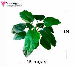 PLANTA 1M 15 HOJAS SIN MACETA