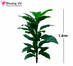 PLANTA 1.6M 33 HOJAS SIN MACETA