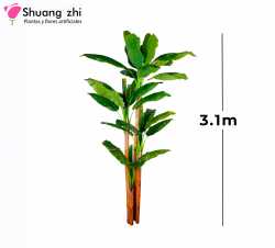 PLANTA BANANA 3 PALOS 3.2M 36 HOJAS SIN MACETA