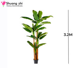 PLANTA BANANA 3 PALOS 3.2M 36 HOJAS CON MACETA