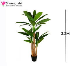 PLANTA BANANA 3 PALOS 3.2M 27 HOJAS CON MACETA