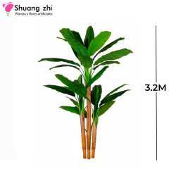 PLANTA BANANA 3 PALOS 3.2M 27 HOJAS SIN MACETA