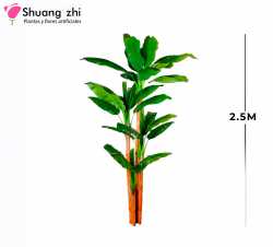 PLANTA BANANA 3 PALOS 2.5M 27 HOJAS SIN MACETA