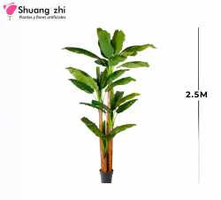 PLANTA BANANA 3 PALOS 2.5M 27 HOJAS CON MACETA
