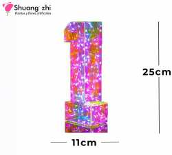 NUMERO DE LUZ 25CM