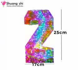 NUMERO DE LUZ 25CM