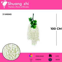 WISTERIA BLANCO CREMA PACK 12 PCS