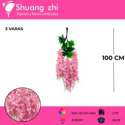 WISTERIA ROSA INTENSO PACK 12 PCS