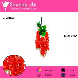 WISTERIA ROJO INTENSO PACK 12 PCS